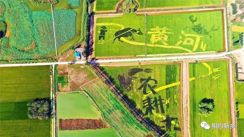 微信图片_20201023113602