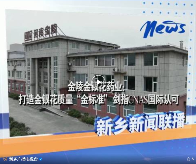 infoflow_2025-11-20_16-59-47